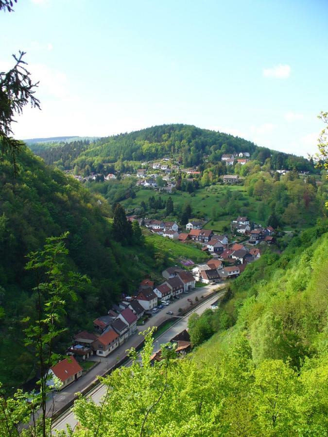 Landhaus Kathrin Walkenried Kültér fotó
