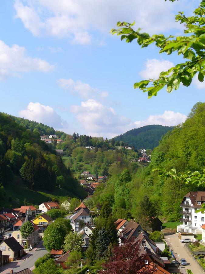 Landhaus Kathrin Walkenried Kültér fotó
